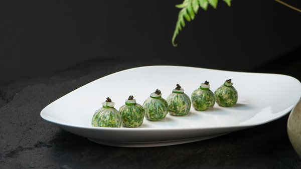 Transform Your Kitchen into an Allergen-Free Haven with a Central Vacuum System for Immaculate Cleanliness