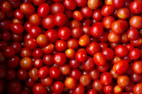 Revolutionizing Restaurant Hygiene and Efficiency: Innovative Approaches to Embracing Touchless Tech